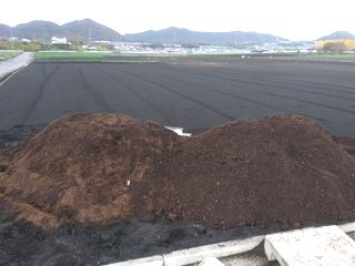 ぎふ豊土壌のバラ運搬の様子1